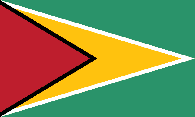 Guyana flag